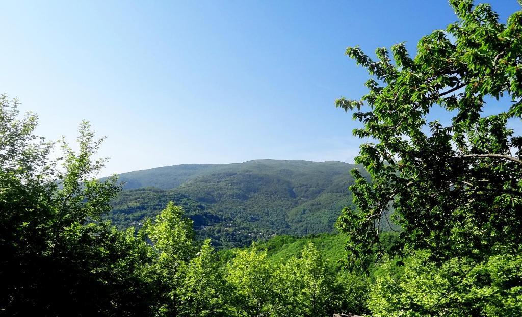 Hotel Vrionis Áyios Dhimítrios Esterno foto